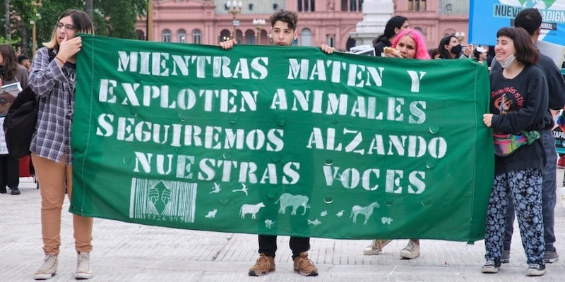 Manifestantes seguram um cartaz e rejeitam a crueldade contra os animais