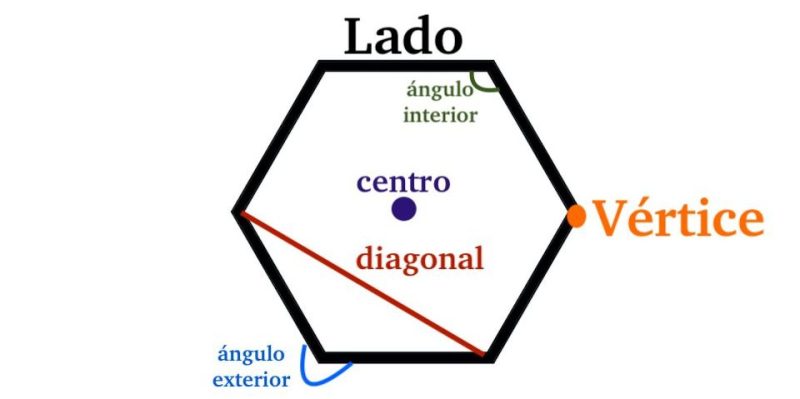 elementos do polígono