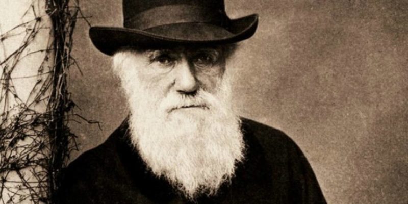 Espécies - Charles Darwin