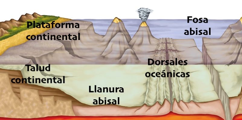 aliviar formas oceânicas