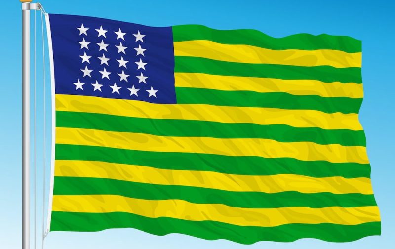 primeira bandeira da república dos estados unidos do brasil