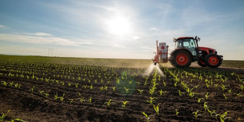 exemplos de elementos naturais e sociais agricultura