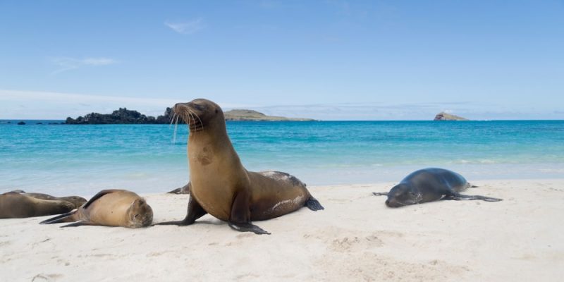 arquipélago galápagos equador