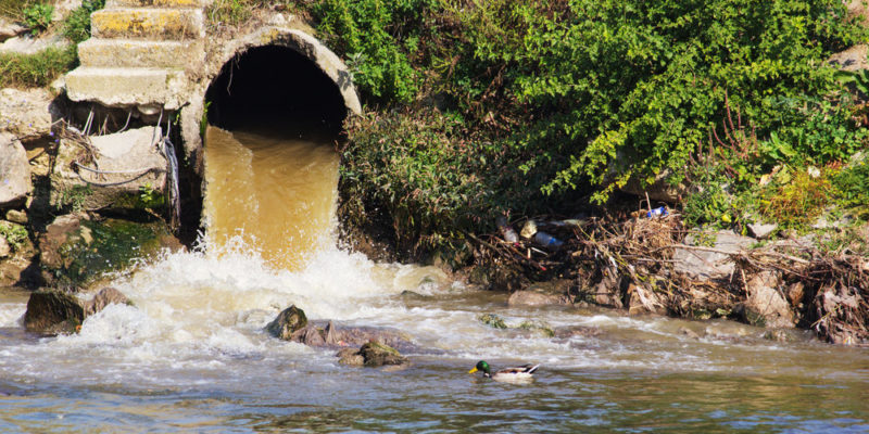 Contaminação da água