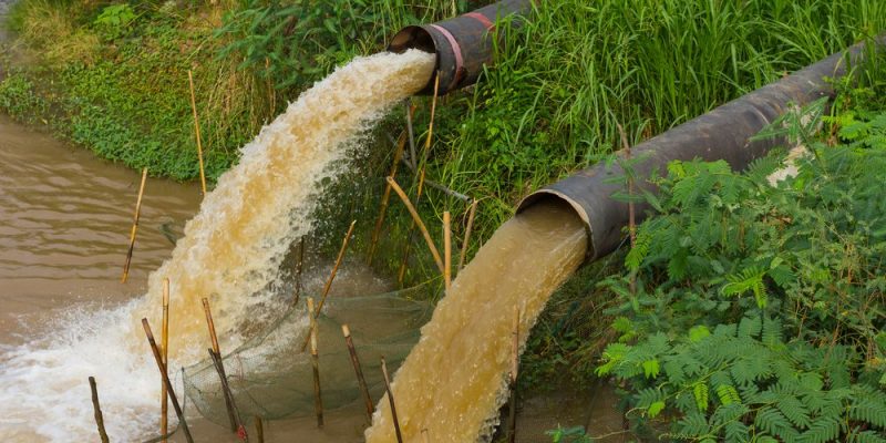 Contaminação da água