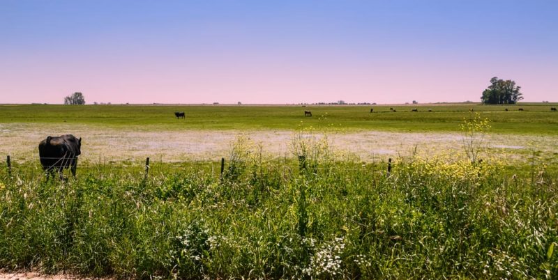 região econômica do pampa úmido