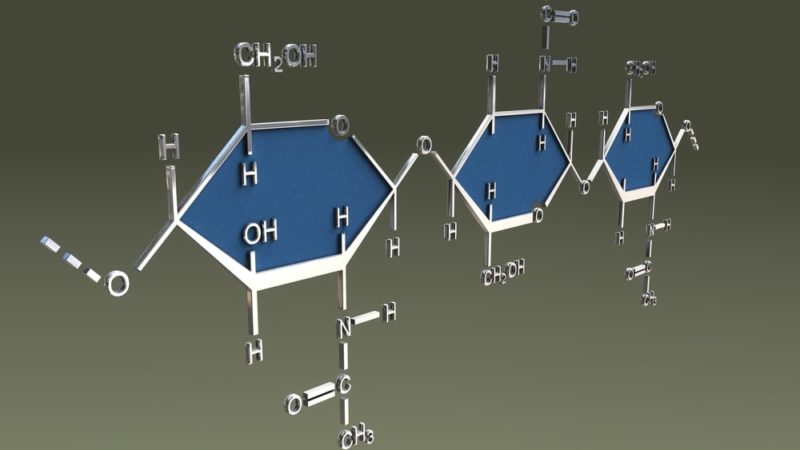 fungos poliméricos orgânicos