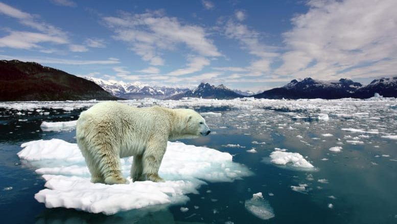 mudança climática - pólos