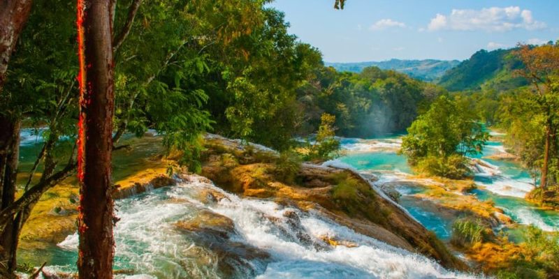 floresta tropical chiapas méxico água azul