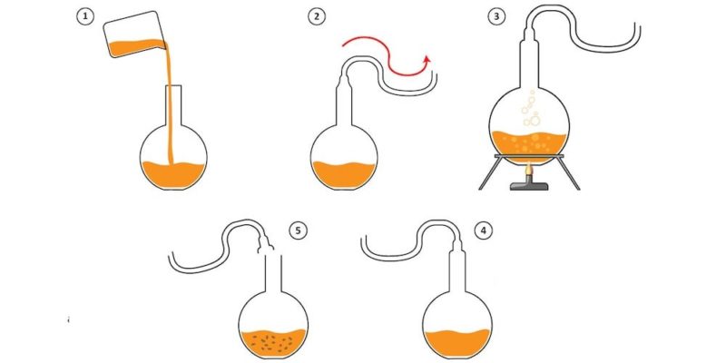 teoria geração espontânea experimento pasteur ciência