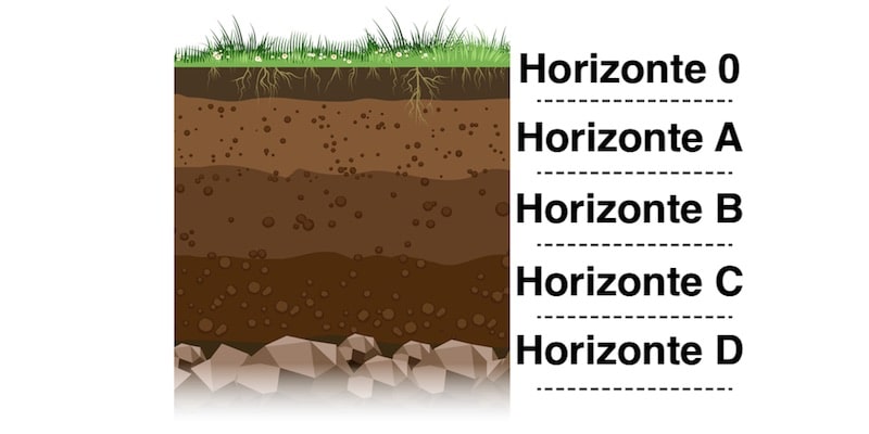 estratos das camadas do solo