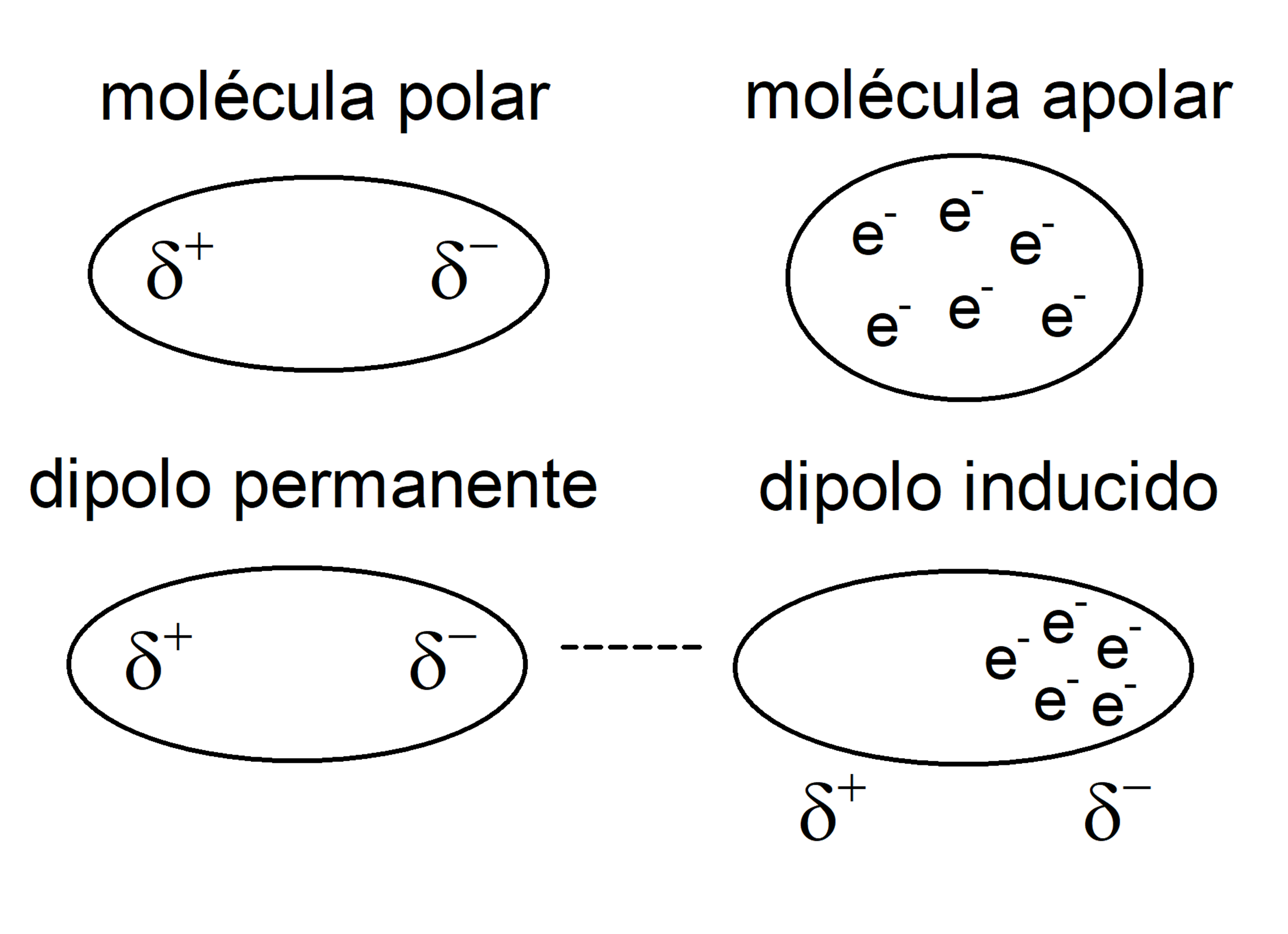 força de van der waals