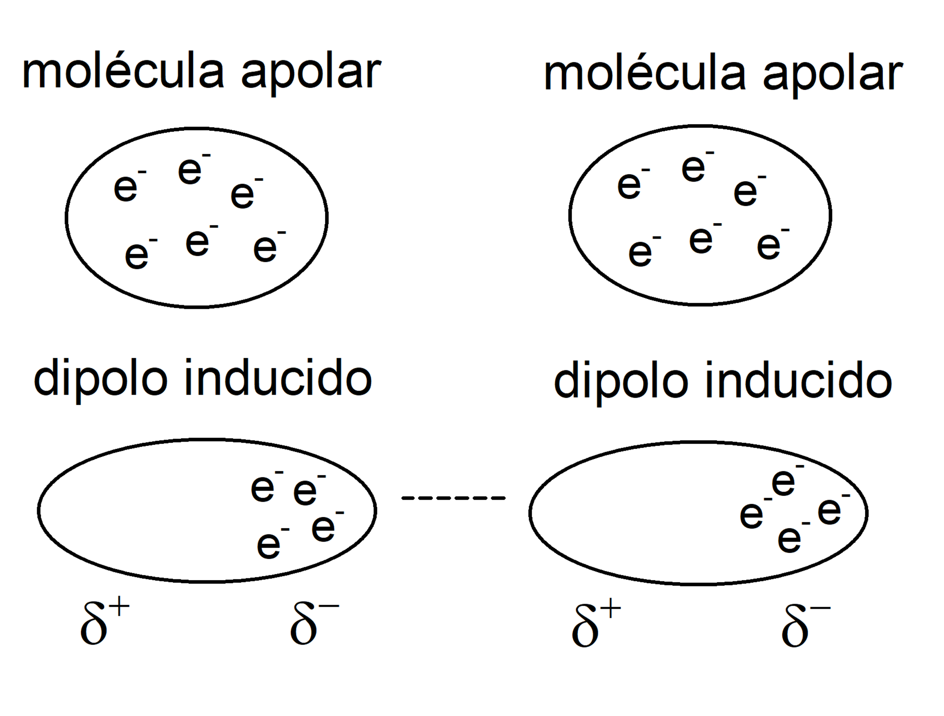 fuerzas de van der waals