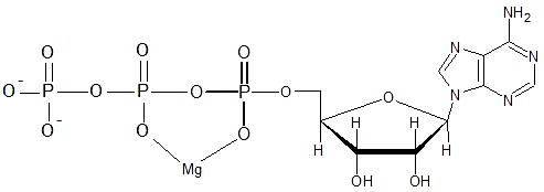 ATP