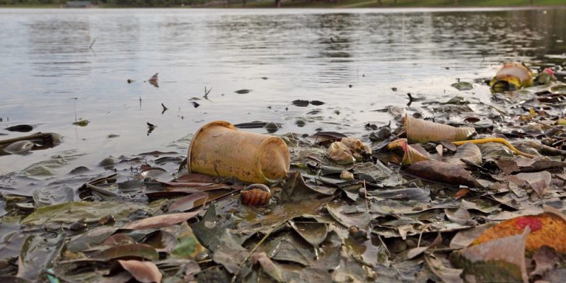 Contaminação da água