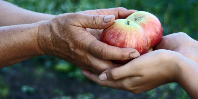 Valores morais - Generosidade